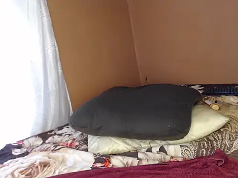 ROCKMAASS22 webcam