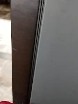 saneer69tew webcam