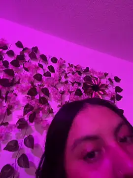Dominic_Schmit01 webcam
