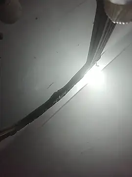 momo_loves webcam