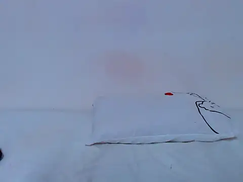 HONEYxPOT webcam