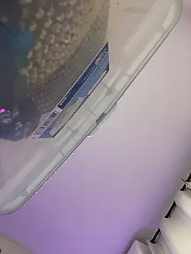 SusieandLacey webcam