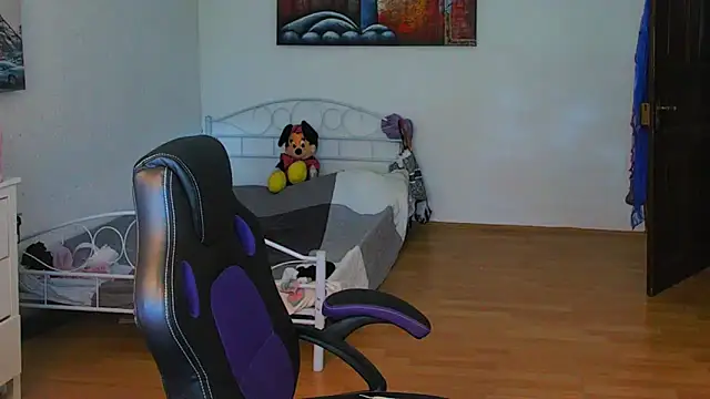 Sylly webcam