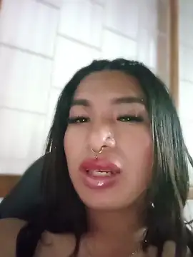 MeelFox webcam