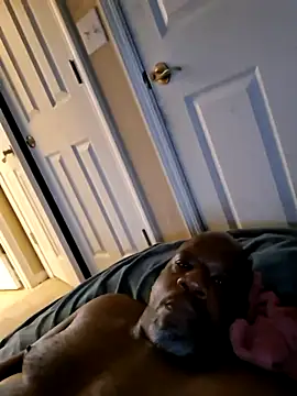 Kek447 webcam