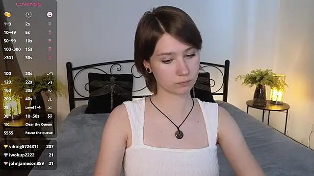 TeraCroft webcam
