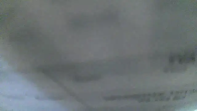 Cygnus58topchef webcam