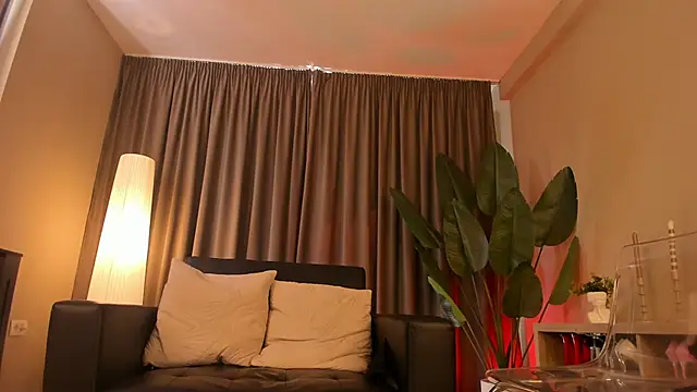 torri_kitten webcam