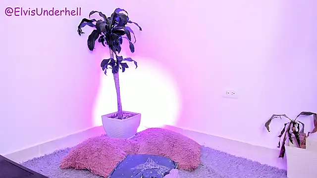Varya_Ferreira webcam