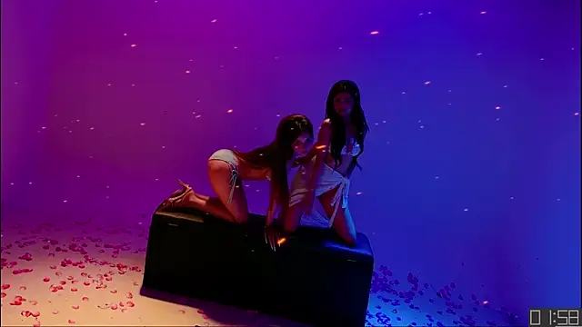 TNT-Sister live cam