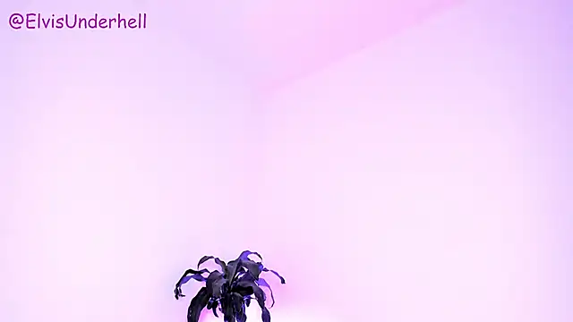 Varya_Ferreira webcam