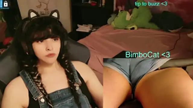 BimboCat webcam