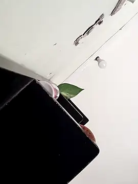 yamini1431 webcam