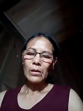 toyo_668 webcam
