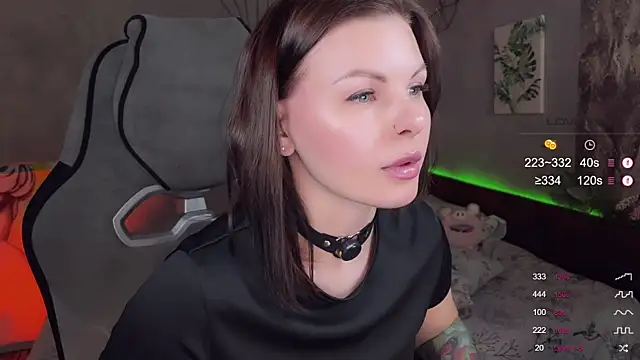 Alaska_ya webcam