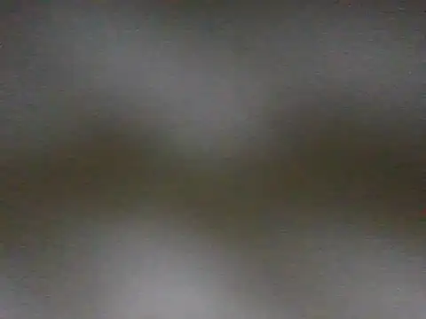 WJ200202 webcam