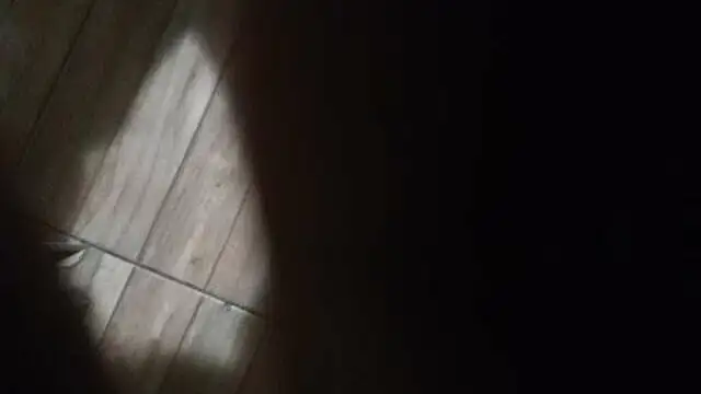 Dominador_Absolut webcam