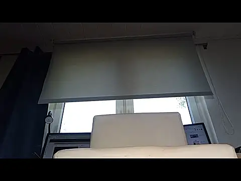 Rainfish webcam