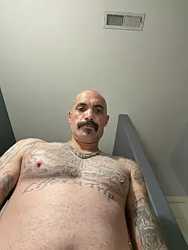 wesstfine webcam
