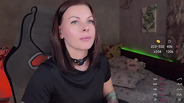 Alaska_ya webcam