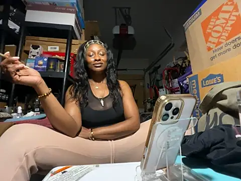 wynterheat webcam