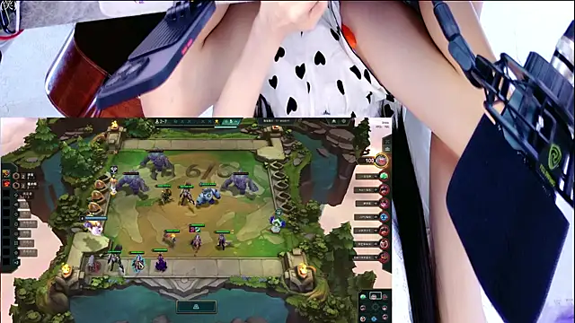 Wa-Nini webcam