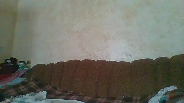 MilaSky5303 webcam