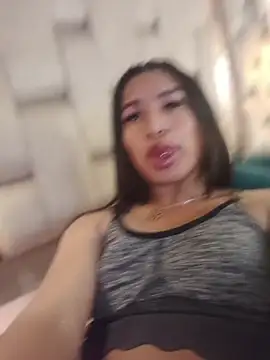 MeelFox webcam
