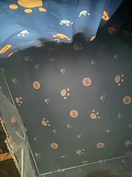 -Lan2k- webcam