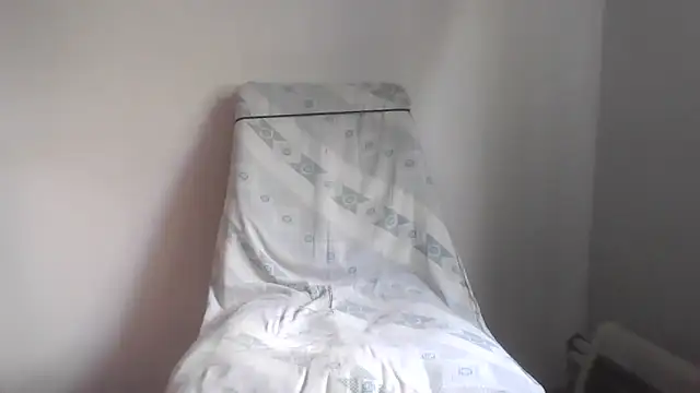 fl3xxx1 webcam
