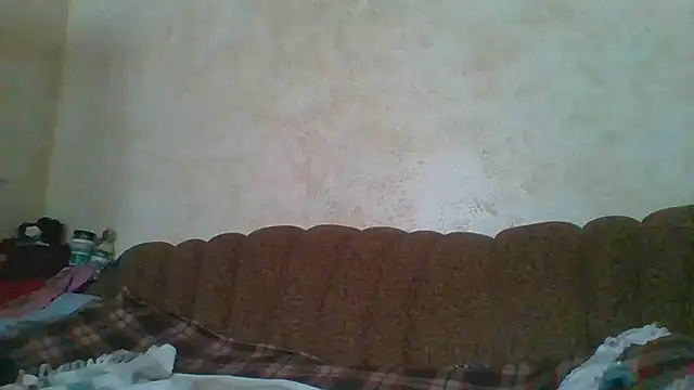 MilaSky5303 webcam