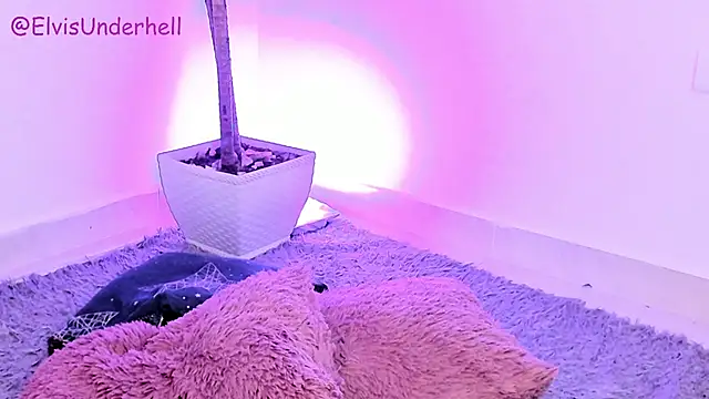 Varya_Ferreira webcam