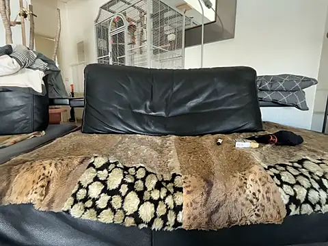 Germankink webcam