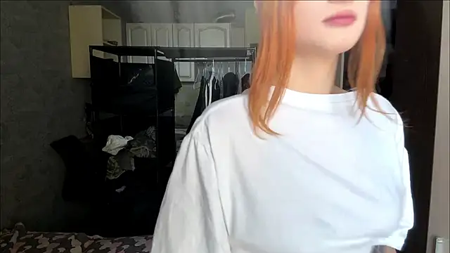 diaphX webcam