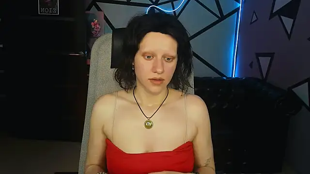 LidaDarknet webcam