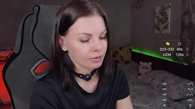 Alaska_ya webcam