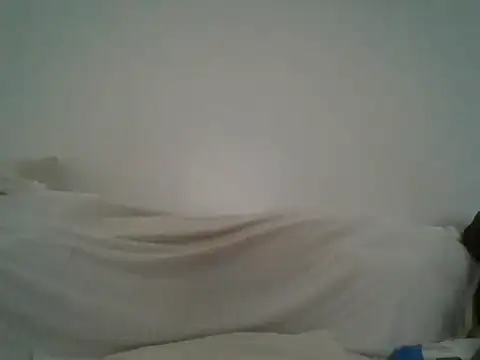 portia501 webcam