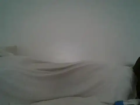 portia501 webcam
