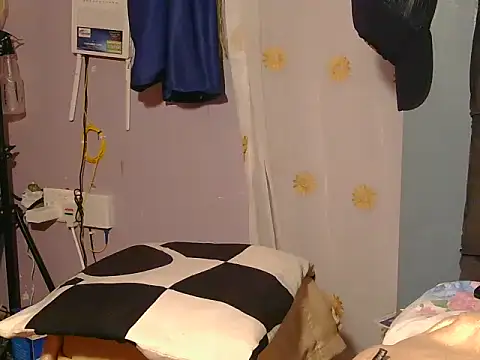 Dic_star webcam