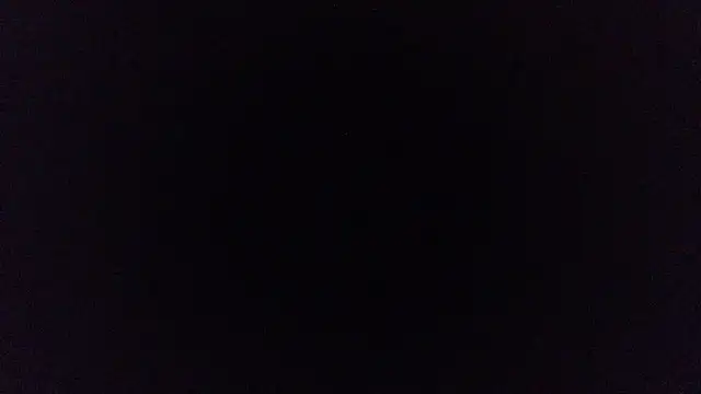 pinkycat webcam