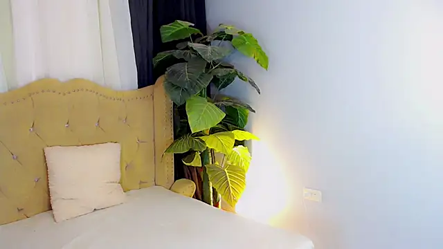 LexiLoreOnTop webcam