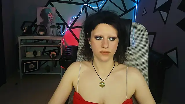 LidaDarknet webcam