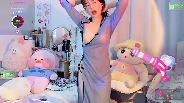 Yoyo_520 webcam
