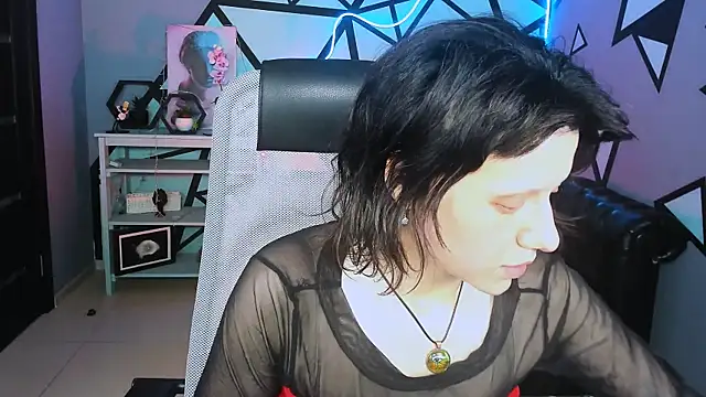 LidaDarknet webcam