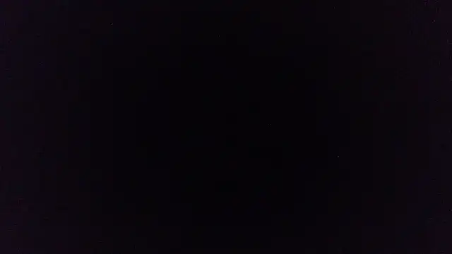 pinkycat webcam