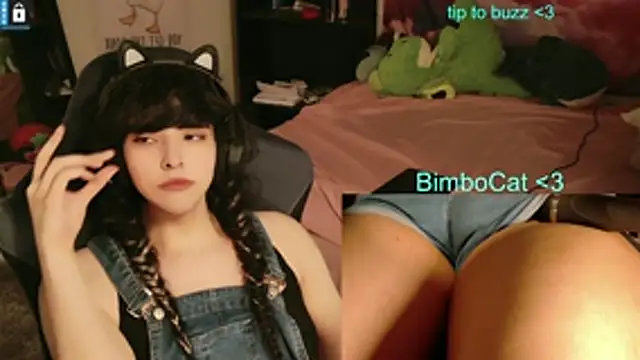 BimboCat webcam