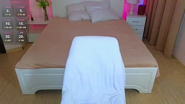 Deibora webcam