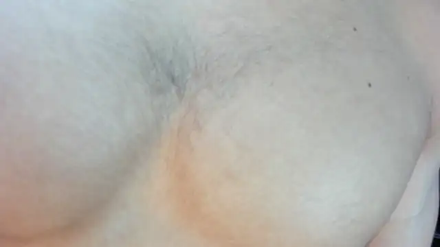 Charlie___Musk webcam