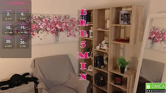 Sue_Sanders webcam