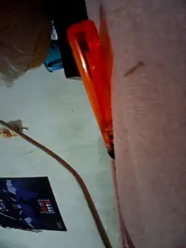 japosamel webcam